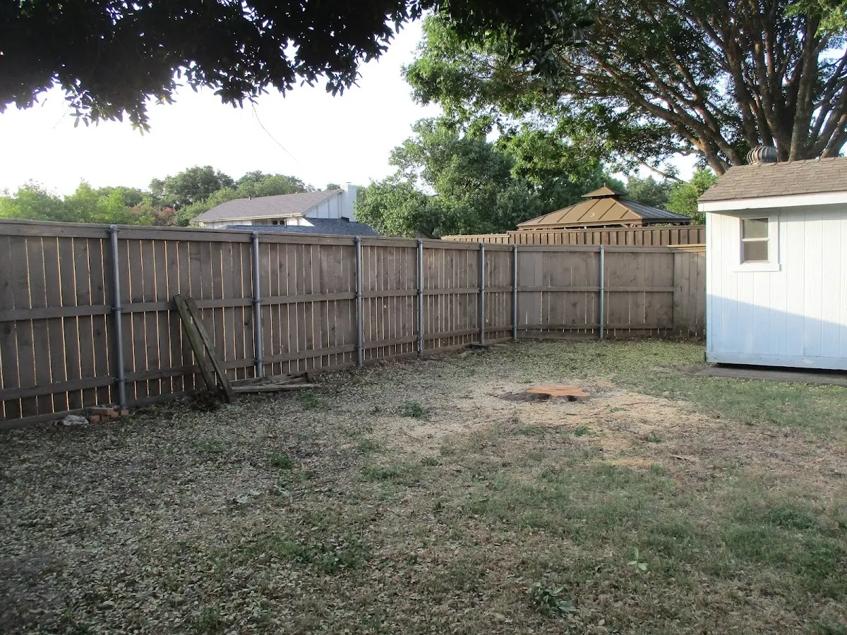 Cleared yard after professional tree removal in Greenwald